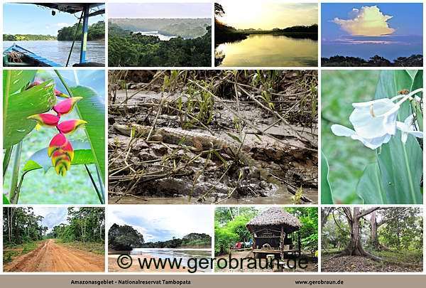 02-Amazonasgebiet-Nationalreservat-Tambopata_001